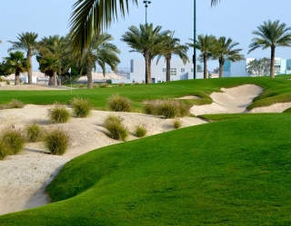 1391497215wee_monty_royal_golf_club_riffa_bahrain_(copy)_(2).jpg