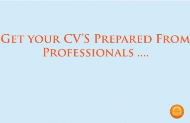 1426939875cv-by-professional-prepared.jpg