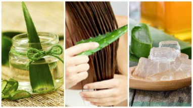 1566396866aloe_vera_treatment_hair_new_paradise_muharraq_bahrain.jpg